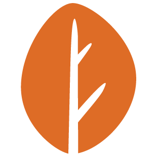 playjoylounge.com favicon
